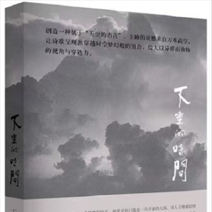 “空中诗人”王峰新作《下垂的时间》出版