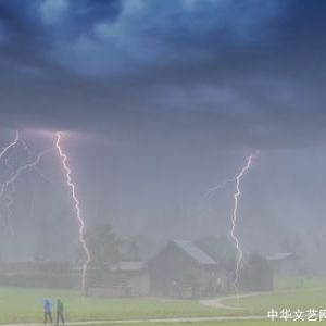 杂文：难忘那夜的雨