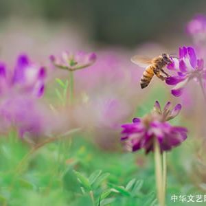 诗评：采撷生活的浪花