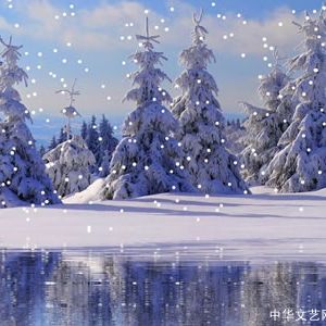 现代诗：雪