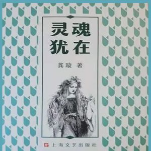 “飞入我身体的，必然是足够的光”——评龚璇诗集《灵魂犹在》 ...