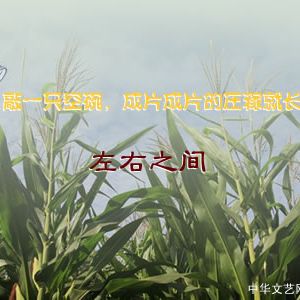 左右之间 | 敲一只空碗，成片成片的庄稼就长出来