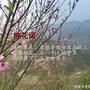 诗歌：桃花诺