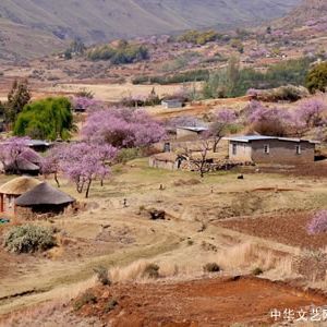 曾经 | 桃花源间