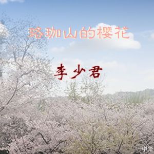 李少君：珞珈山的樱花