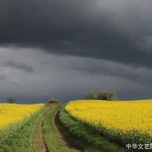 现代诗：清明雨