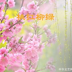 草古斋主 | 桃红柳绿（古诗六首）