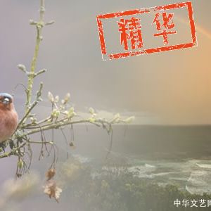 缘圆阁主：唐多令•黄昏岸