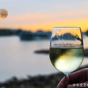 诗歌：月光落入浩渺的酒杯