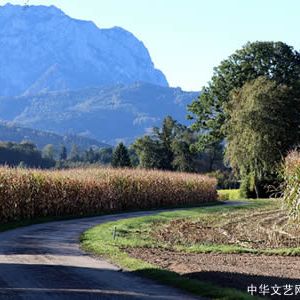 现代诗：九月山村