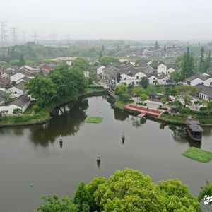 箫风 | 芒种——《夏天的乐章》之三