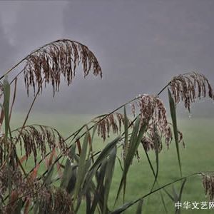 【古诗词】西江月•久雨后