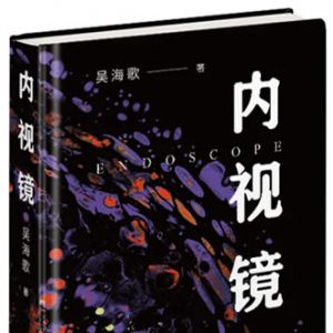 回望：以反思的眼光打量来时路——序吴海歌诗集《内视镜》 ...