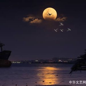 【古诗词】虞美人•夜读