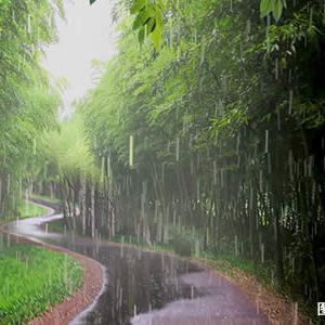 现代诗：把雨丝扭成鞭子