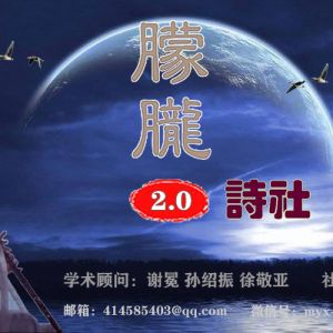 朦胧诗社简介