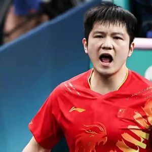 满江红·贺樊振东入围大本钟奖