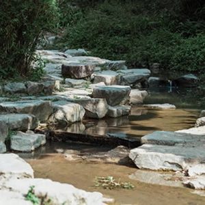 杨克：外伶仃岛（外一首）