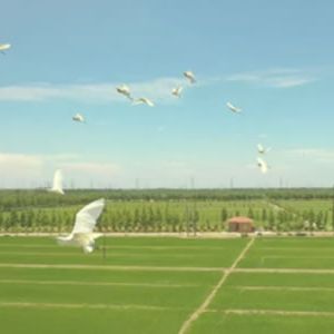 常虹 | 鹤溪街的由来