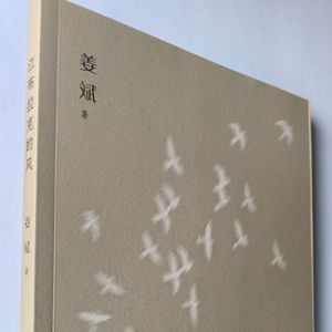 厚重乡土情，凝于诗行间 —— 姜斌诗集《江布拉克的风》赏析 ...