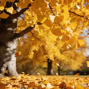 现代诗：冬日画景（组诗）