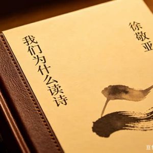徐敬亚：我们为什么读诗
