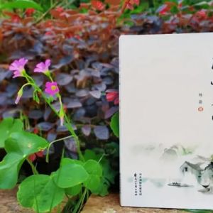 青年诗人林萧诗集《风吹人间》出版：草木有光，照亮人间百态 ...